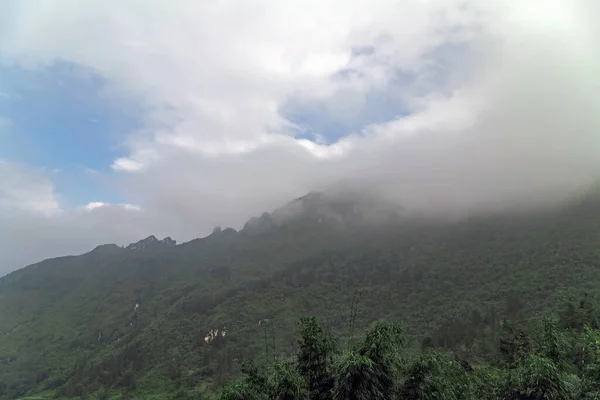 Vietnam Berg Achtergrond Bebost Bamboe Plant Heuvels Bij Dageraad Mist — Stockfoto