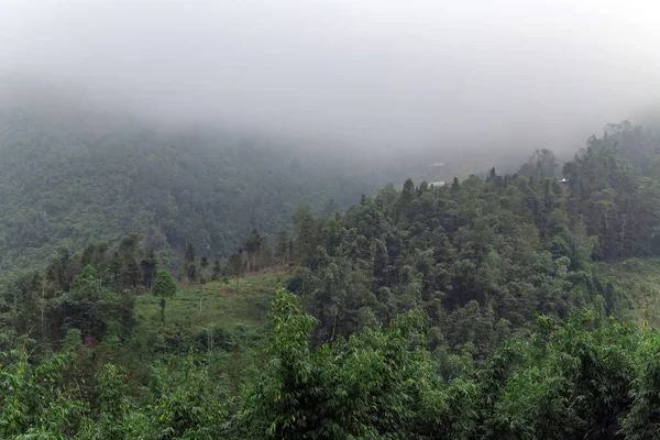 Світанку Тумані Єтнамська Гора Вкрила Пагорби Бамбука Природний Ландшафт Єтнаму — стокове фото