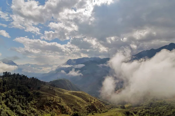 Natural landscape foggy mountains misty hills forest