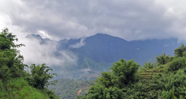 Doğal Manzara Sisli Dağlar Sisli Tepeler Ormanları — Stok fotoğraf