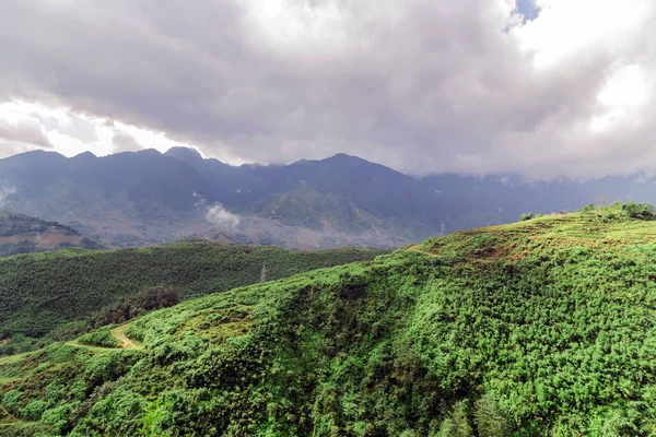 Natürliche Landschaft Neblige Berge Neblige Hügel Wald — Stockfoto