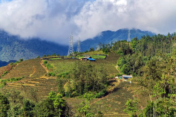 越南山村的自然景观绿草蓝天 — 图库照片