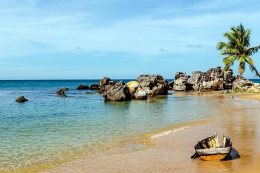 Tropik hindistan cevizi palmiyesi arka planı. Palm Beach Tropik Yaz Tatili Panoramik Manzarası.