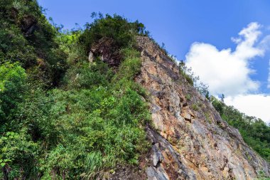 Ufukta büyük ağaçları ve dağları olan güzel yeşil tepeler. Yaz manzarası Sapa, Vietnam.