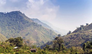 Silüet orman dağları Alplerdeki puslu sabah manzarası.