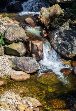 Ulusal Park Dağı Geçidi 'nde yağmur ormanlarında şelale, Vietnam' da Sapa. Kuzey Vietnam, Lao Cai Eyaleti 'nde popüler turist gezisi..