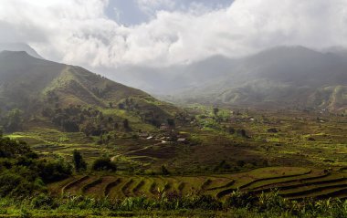Muhteşem pirinç tarlaları Vietnam, teraslı pirinç panoraması.