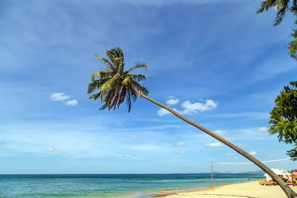 Fond Tropical Cocotier Palm Beach Tropical Vacances Été Vue Panoramique — Photo