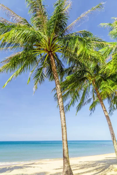 Tropischer Strand Landschaft Ansicht Kokospalme Sommerurlaub Konzept — Stockfoto