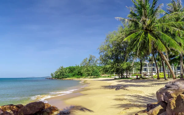 Тропический Вид Пляж Кокосовая Пальма Концепция Летнего Отдыха — стоковое фото