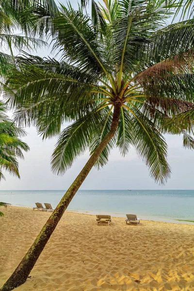 沙滩上的椅子和伞 背景是大海和蓝天的美丽海景 越南的富国岛 休假日及暑期背景 — 图库照片