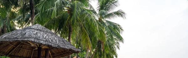 放轻松椰子树下的影子 海上休闲 越南Umbrella Phu Quoc岛 — 图库照片