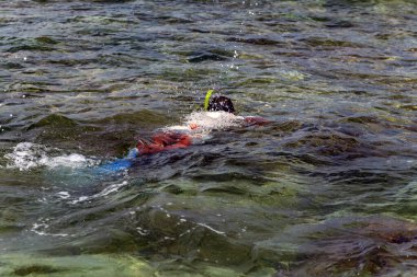 Dünya Su Günü, genç adam dalış yapıyor mavi denizde yüzüyor.