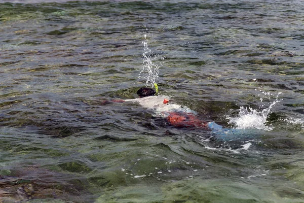 Всемирный День Воды Подводное Плавание Голубом Чистом Море Коралловыми Рифами — стоковое фото