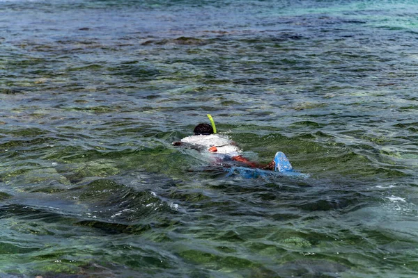 Mergulho Com Snorkel Fundo Conceito Ecologia Água Tropical Nadando Mar — Fotografia de Stock