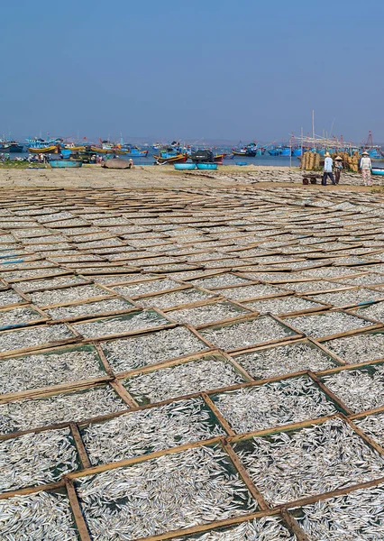Рыбный Рынок Сушеной Соленой Рыбы Пляже Муй Вьетнаме — стоковое фото