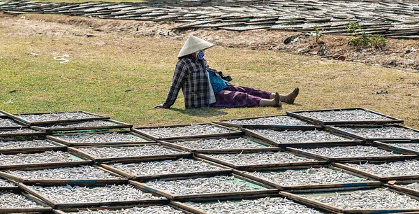 Vue Latérale Poisson Salé Séché Femme Séchant Poisson Port Vietnam — Photo