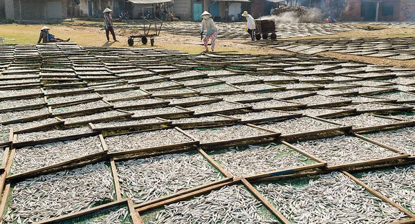 Gæret Fiskesauce Madlavning Tørret Fisk Vietnam Mui Phan Thiet Berømt - Stock-foto