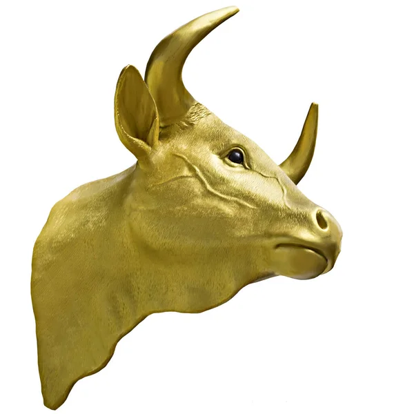 Golden Calf Taurus Gouden Kop Geïsoleerde Witte Achtergrond — Stockfoto