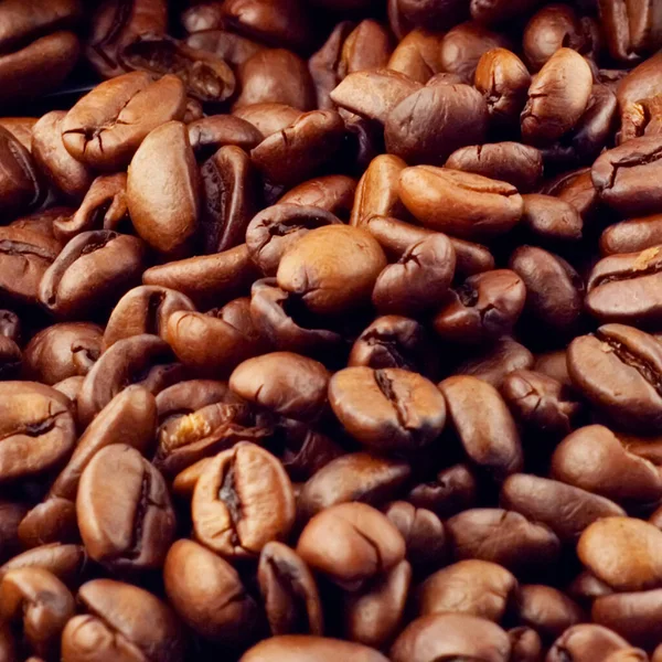 Kaffeböna Närbild Textur Bakgrund Fyrkant — Stockfoto