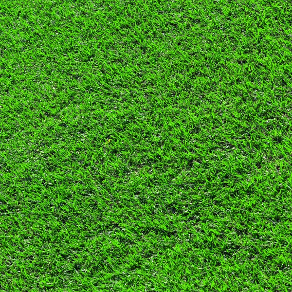 Green Grass Fields Meadow Background Texture Square — Stock Photo, Image