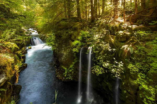 North Umpqua River boven Toketee waterval, een enorme waterval in de National Forest. — Stockfoto