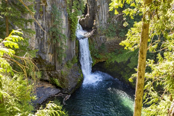 Toketee Falls is een waterval in Douglas County, Oregon, Verenigde Staten. — Stockfoto