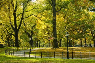 Sonbaharda Central Park Alışveriş Merkezi 'nde. New York Şehri