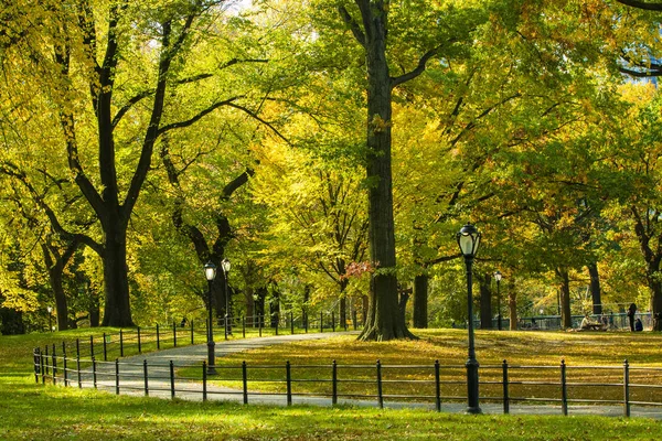 Het Central Park winkelcentrum in de herfst. De stad New York — Stockfoto