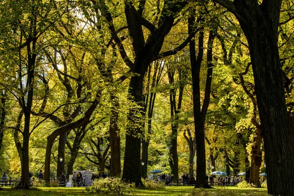 Das Central Park Mall im Herbst. new york cit — Stockfoto