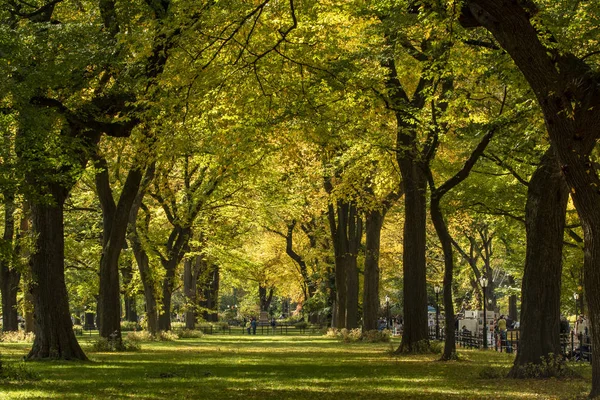 秋のセントラルパークモール。ニューヨーク・シット — ストック写真
