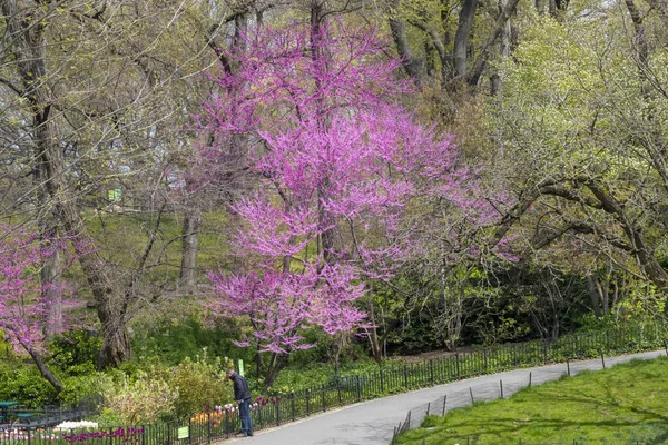 Весна 2020 Коронівірус Залишайтеся Безпеці Нью Йорка — стокове фото