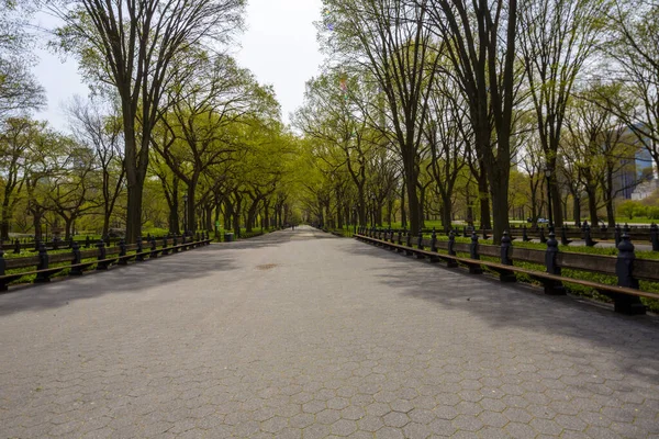 Central Park Manhattan New York City Frühling — Stockfoto