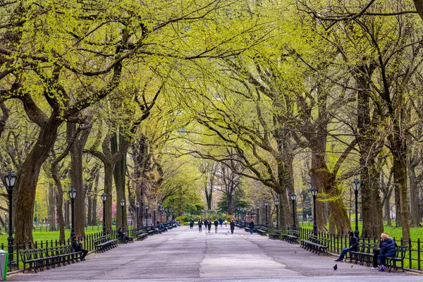 Manhattan Usa Pessoas Durante Tempo Coronavírus Central Par — Fotografia de Stock