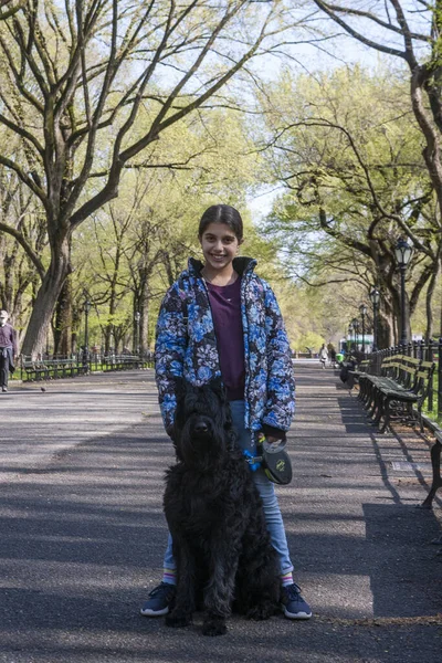 Lovely Young Girl Training Giant Schnauzer Central Park — Stock Photo, Image