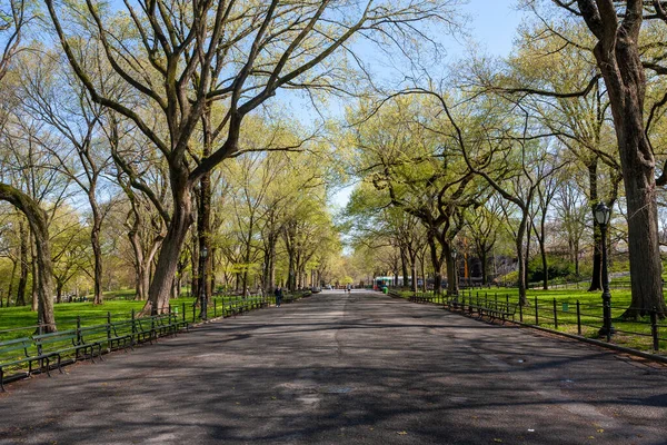 Central Park Manhattan New York City Frühling — Stockfoto