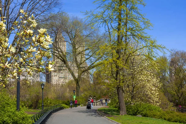 Central Park Την Άνοιξη — Φωτογραφία Αρχείου