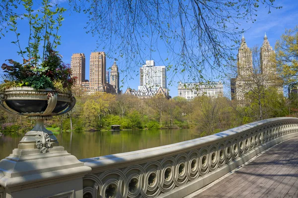 Луковый Мост Центральном Парке Весенний Солнечный День Манхэттен — стоковое фото
