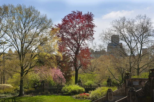 Frühling Central Park New York — Stockfoto