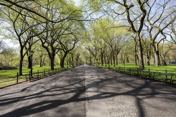 Mall Central Park Manhattan Nova Iorque Primavera — Fotografia de Stock