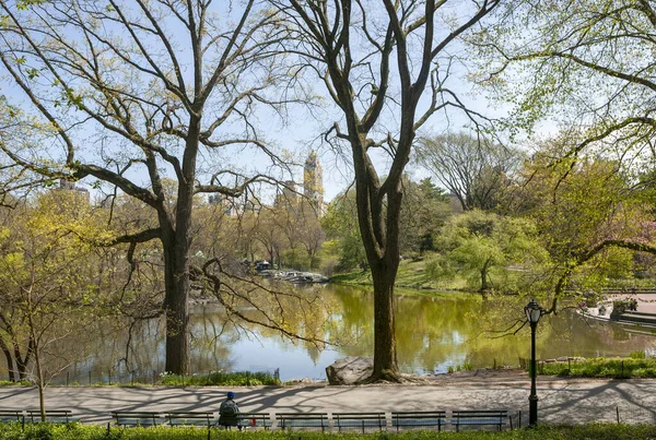 Central Park Primavera Manhattan — Fotografia de Stock