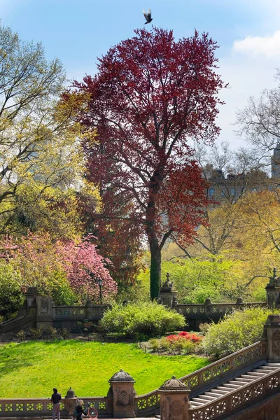 Primavera Central Park Nova Iorque Fotos De Bancos De Imagens