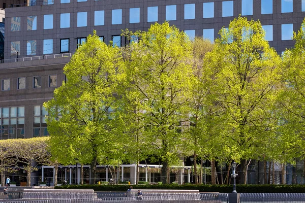 ニューヨーク市 2020年5月2日 ブルックフィールド プレイスは世界金融センターとして建設され 現在も一般的に呼ばれており Wtcの向かい側に位置するショッピングセンターとオフィスビル複合施設である — ストック写真