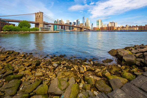 Most Brookliński Panorama Manhattanu Widziane Brooklyn Bridge Park Nowy Jork — Zdjęcie stockowe