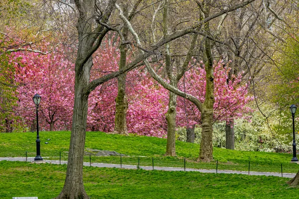 Central Park Manhattan New York Primavera — Foto Stock