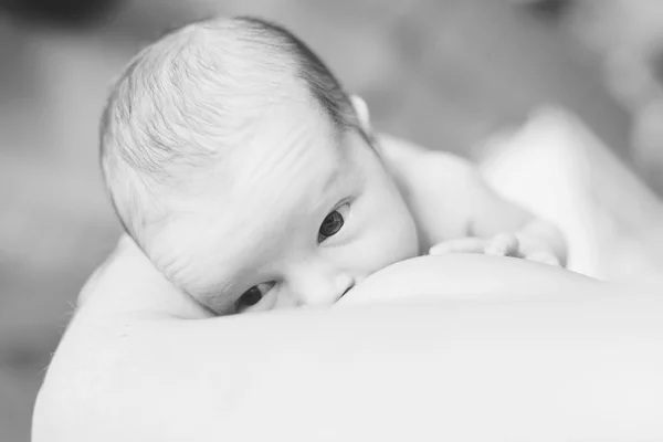 Feeding of newborn — Stock Photo, Image