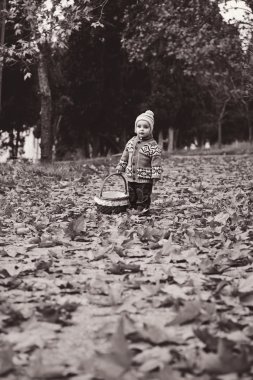 bir sepet ile sonbaharda yürümeye başlayan çocuk