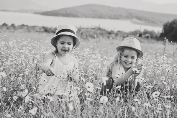 Amigos en el campo — Foto de Stock