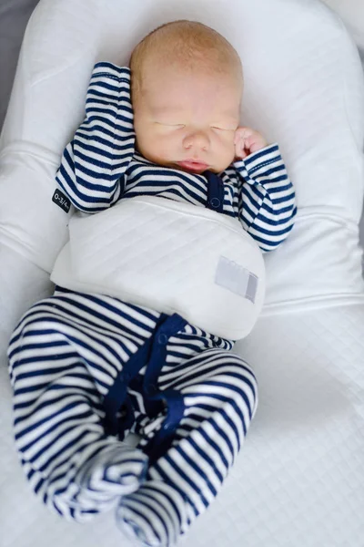 Newborn in  cocoon — Stock Photo, Image