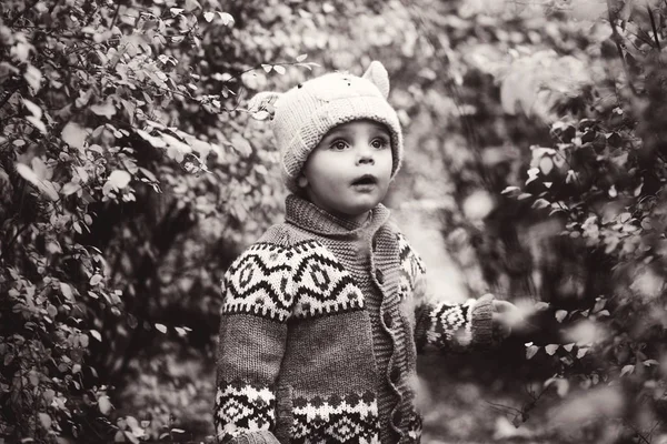 Toddler Boy Golden Fall Forest — Stock Photo, Image